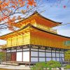 Kinkaku Ji Temple Kyoto paint by numbers