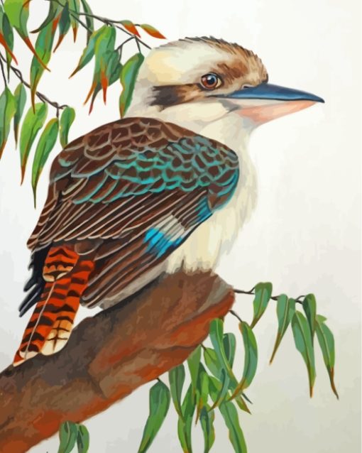 Kookaburra Bird paint by numbers