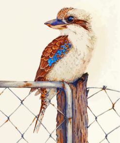 Kookaburra On Fence paint by numbers