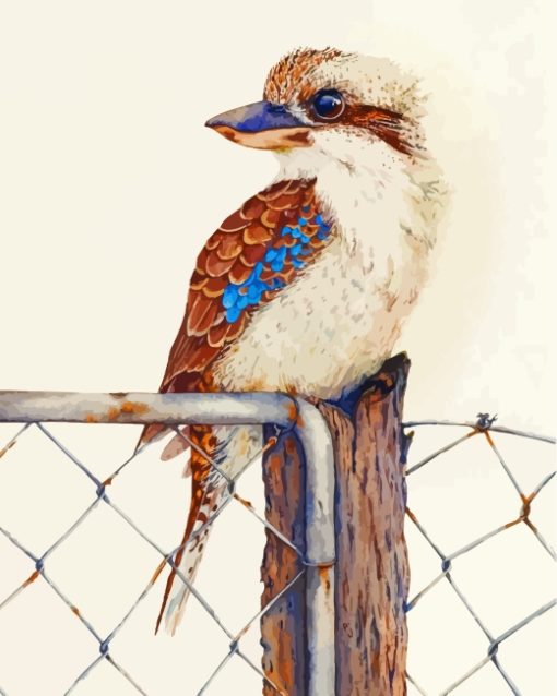 Kookaburra On Fence paint by numbers