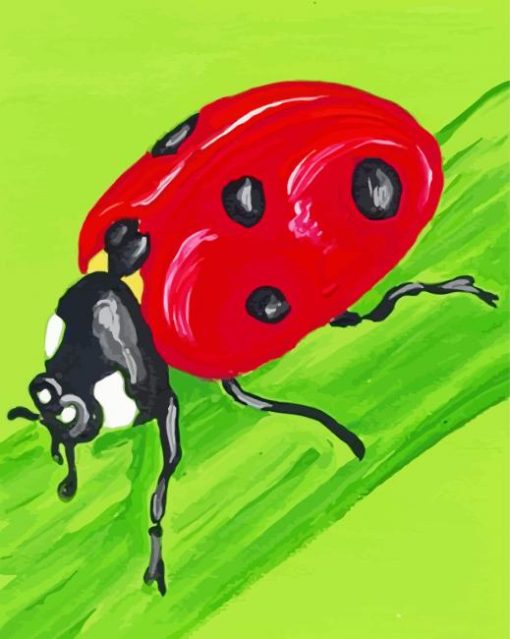 Ladybug Insect paint by numbers