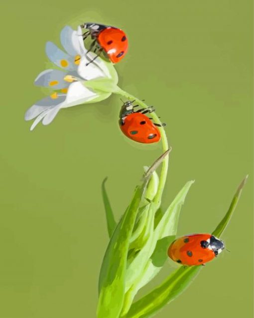 Ladybugs paint by numbers