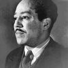 Langston Hughes paint by number