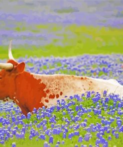 Longhorn In Bluebonnets Field paint by numbers