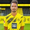 Mats Hummels paint by numbers