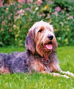 Otterhound paint by numbers