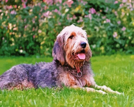 Otterhound paint by numbers