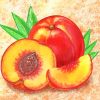 Peach Fruit Art paint by numbers