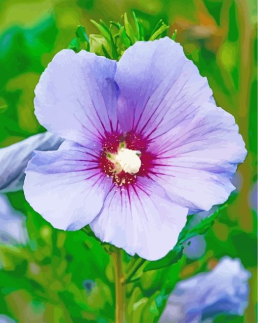 Purple Hibiscus Flower paint by numbers