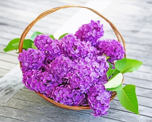 Purple Hydrangea Basket paint by numbers