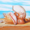 Sea Shells paint by numbers