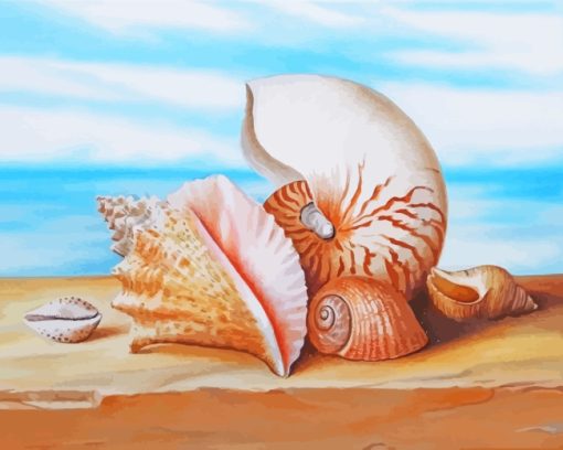 Sea Shells paint by numbers