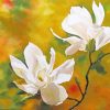 Spring Magnolia Art paint by numbers