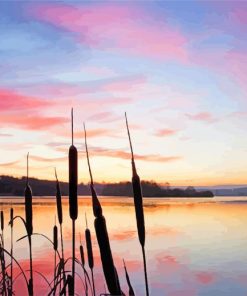 Strathcyclde Country Park Sunset paint by numbers