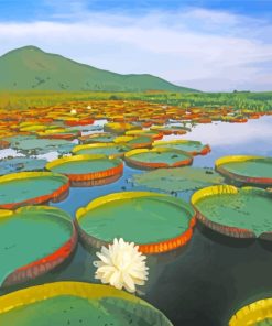 Water Giant Lilies Brazil paint by number