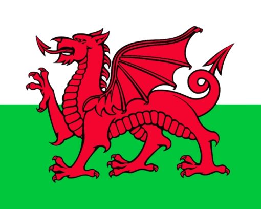 Welsh Dragon Flag paint by numbers