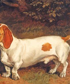 White Brown Dachshund paint by numbers