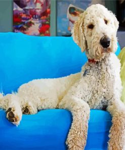 White Goldendoodle Dog paint by numbers