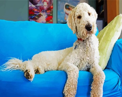 White Goldendoodle Dog paint by numbers