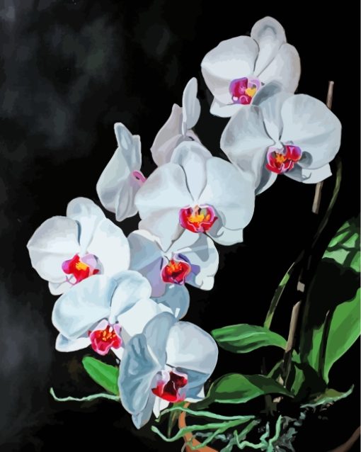 White Orchids Flowers paint by numbers