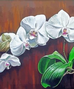 White Orchids paint by numbers