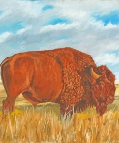 Wild American Bison paint by numbers