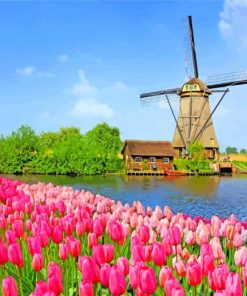 Windmills And Flowers At Kinderdijk paint by numbers