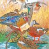 Wood Ducks paint by numbers