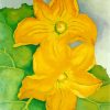 Yellow Flower Georgia O Keeffe paint by numbers