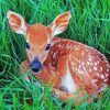 Adorable Fawn paint by numbers