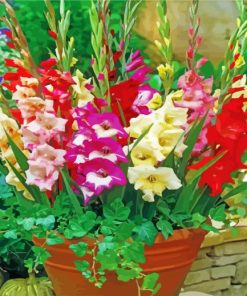 Aesthetic Gladiolus Flowers paint by number