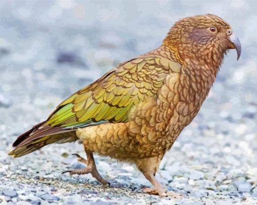 Aesthetic Kea Bird paint by numbers