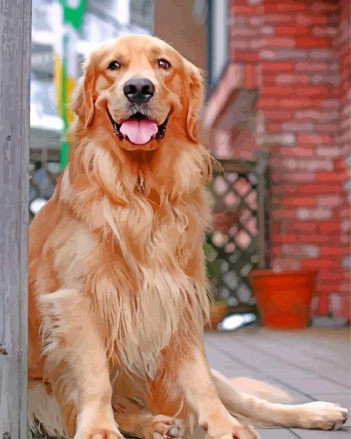 Aesthetic Golden Retriever Dog paint by number