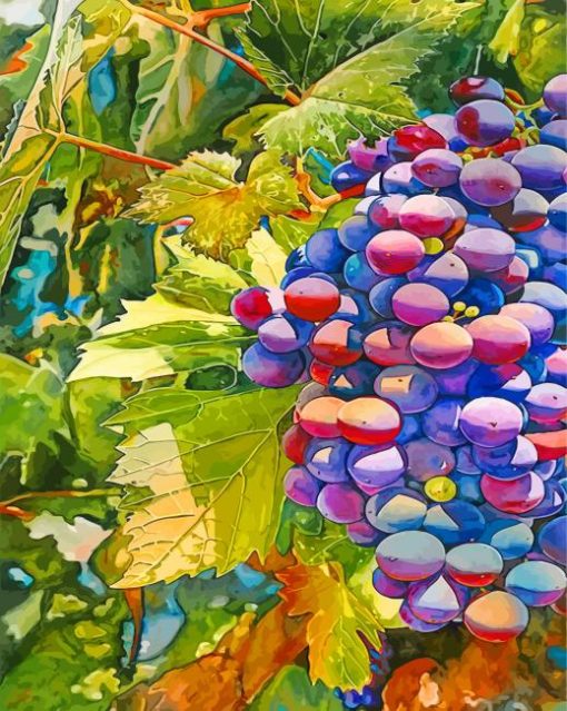 Aesthetic Grapes paint by numbers