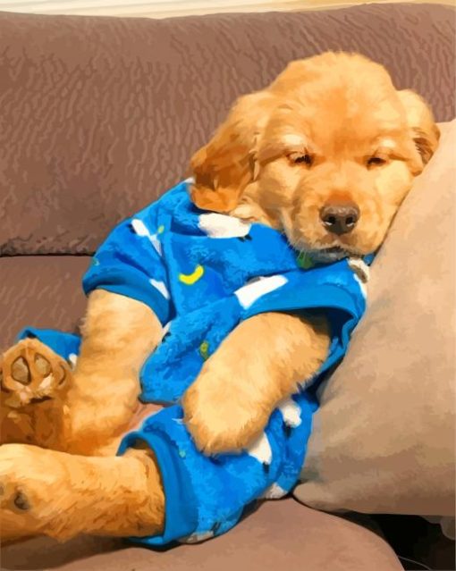 Afternoon Nap Golden Retriever Puppy paint by number