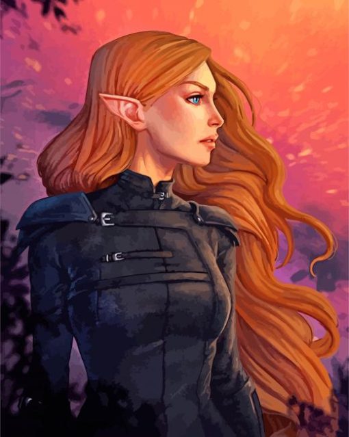 Beautiful Feyre paint by numbers