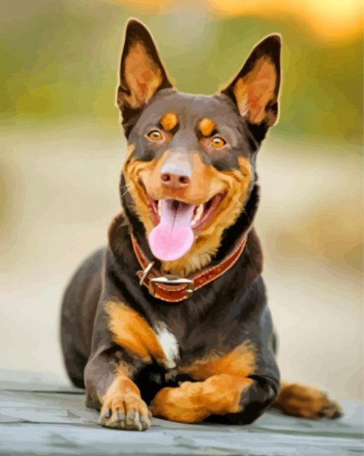 Black And Brown Kelpie Dog paint by numbers