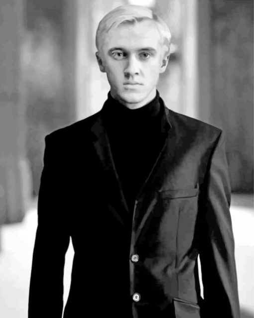 Black And White Malfoy paint by numbers