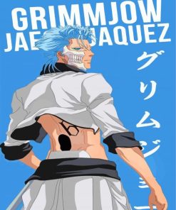 Bleach Grimmjow Jaegerjaquez paint by numbers