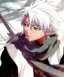 Bleach Anime Toshiro Hitsugaya papint by numbers