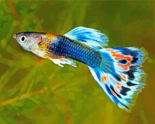 Bleu Guppy Fish paint by numbers