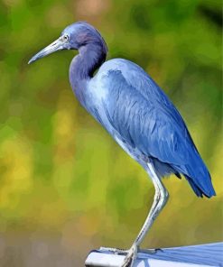 Blue Heron Bird paint by numbers