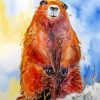 Brown Groundhog paint by numbers