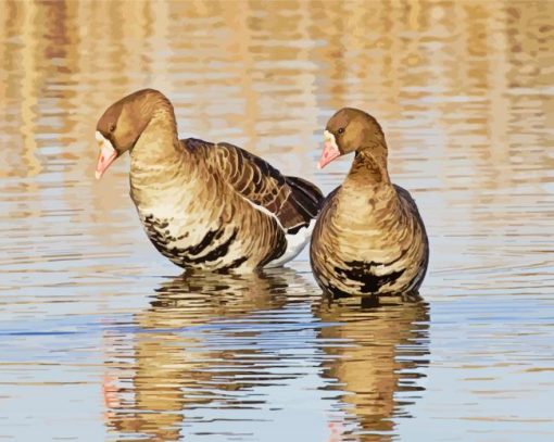 Canadian Gooses paint by numbers