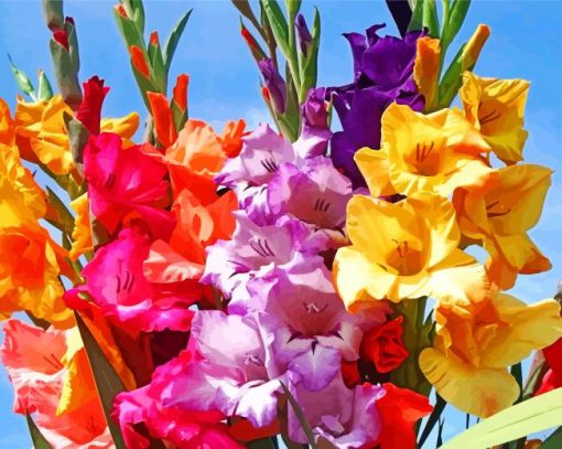 Colorful Gladiola paint by number