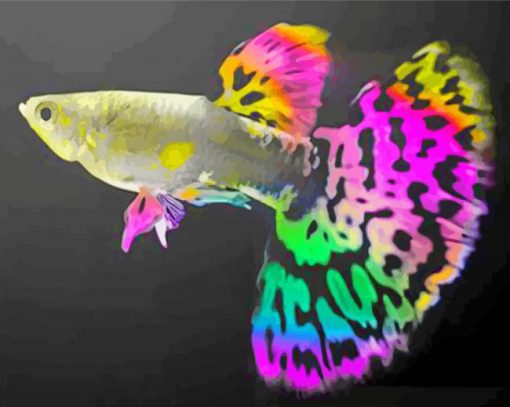 Colorful Guppy Fish paint by numbers