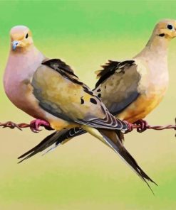 Cute Doves paint by number