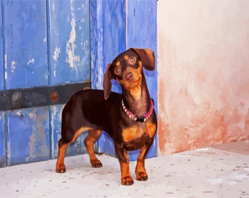 Cute Doxie paint by numbers