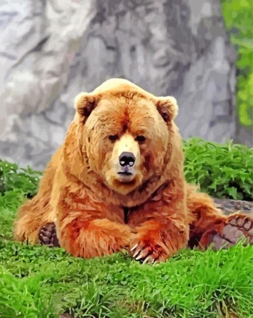 Cute Grizzly Bear paint by numbers