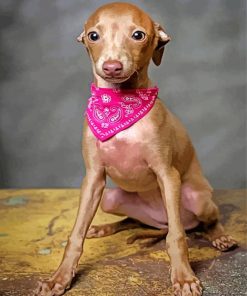 Cute Brown Greyhound paint by numbers